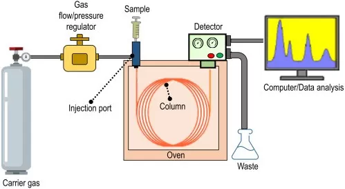 Scheme of a gas chromatography